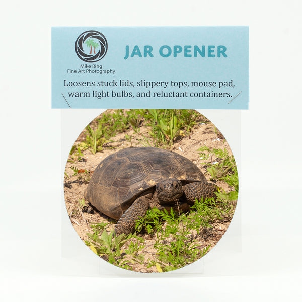 Gopher Tortoise 1 Gifts
