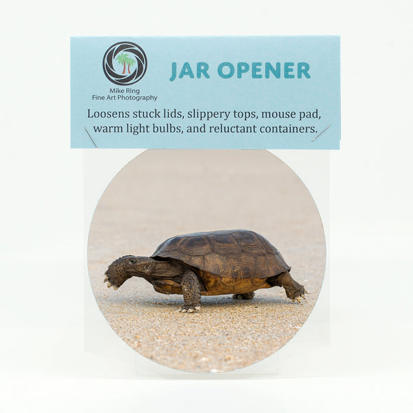 Gopher Tortoise 2 Gifts