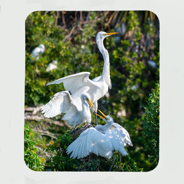 Great Egrets Gifts