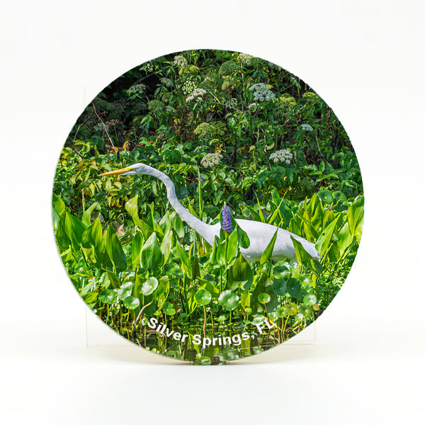 Great Egret 10 Gifts