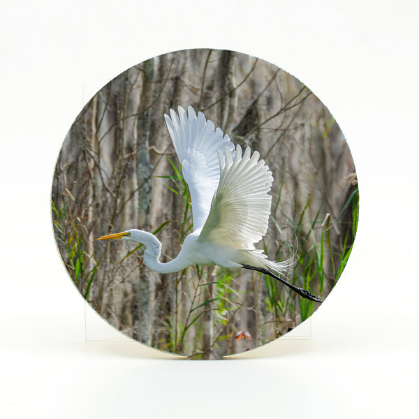 Great Egret 4 Gifts