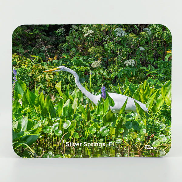 Great Egret 10 Gifts