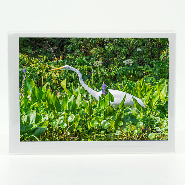 Great Egret 10 Gifts