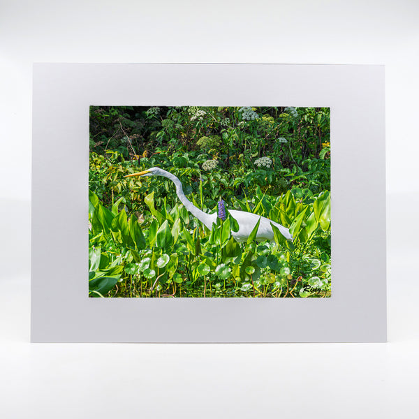 Great Egret 10 Gifts