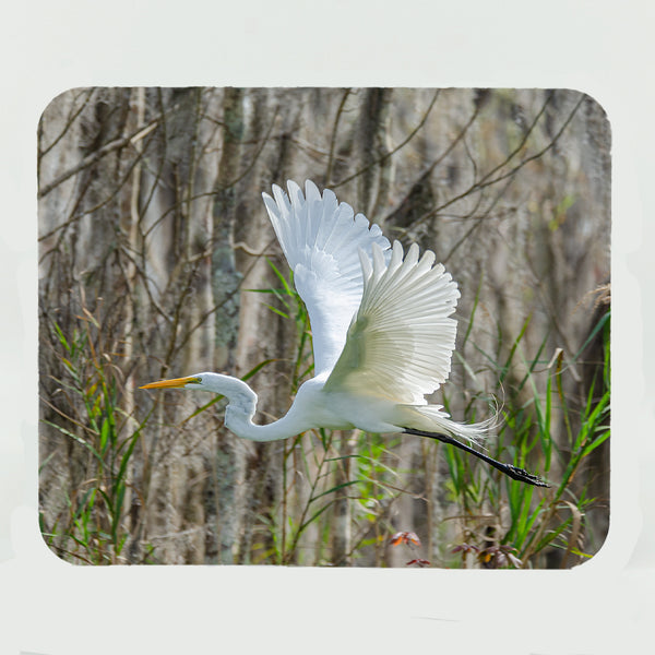 Great Egret 4 Gifts