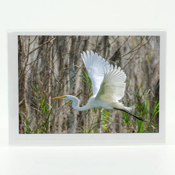 Great Egret 4 Gifts