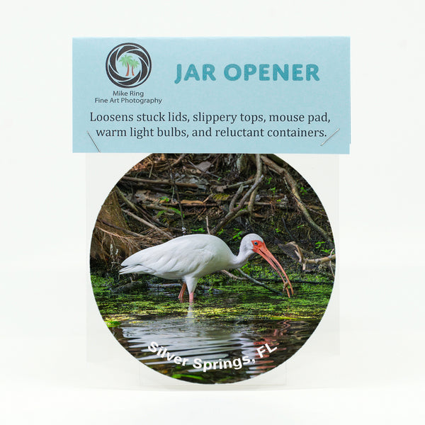 American White Ibis 9 Gifts