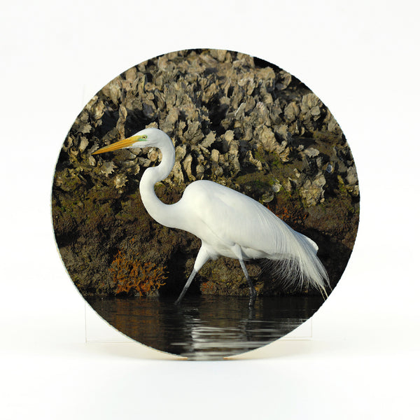 Great Egret Gifts