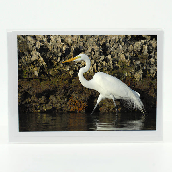 Great Egret Gifts