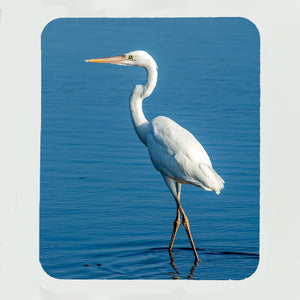 Great White Heron Gifts