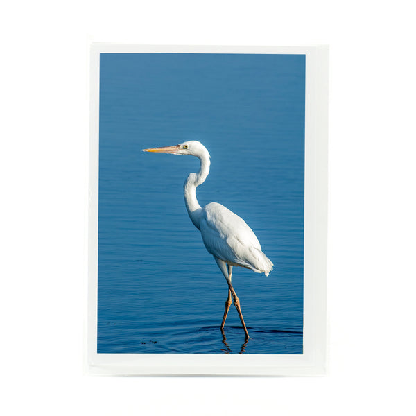 Great White Heron Gifts