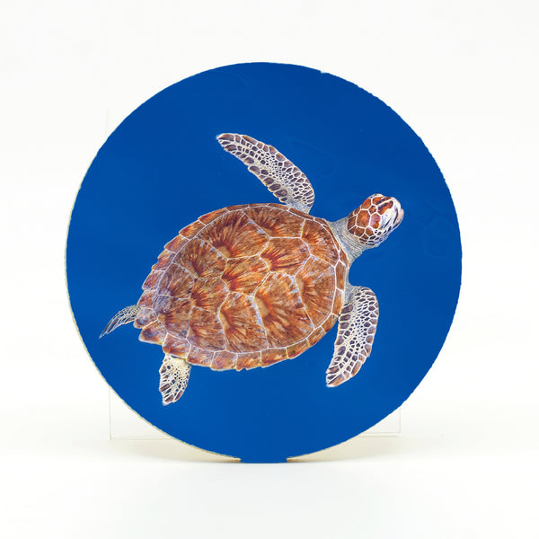 Green Sea Turtle Gifts