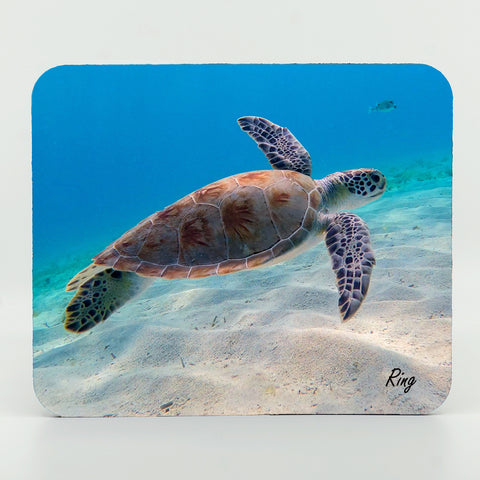 Green Sea Turtle 2 Gifts