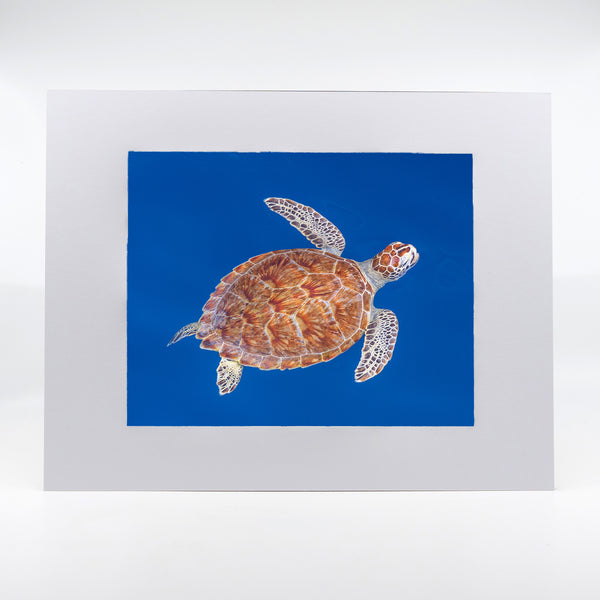 Green Sea Turtle Gifts