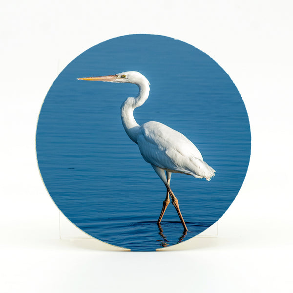 Great White Heron Gifts