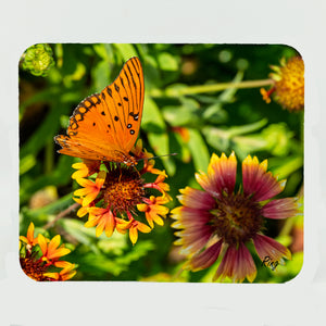 Gulf Fritillary Butterfly 1 Gifts
