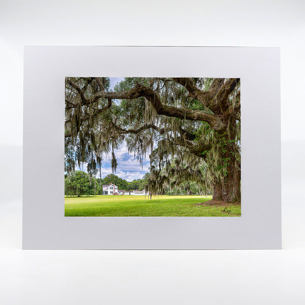 Hofwyl-Broadfield Plantation Gifts