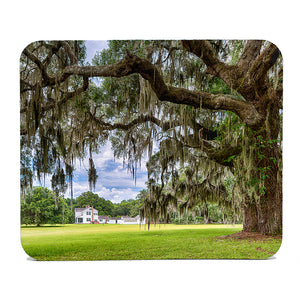 Hofwyl-Broadfield Plantation Gifts