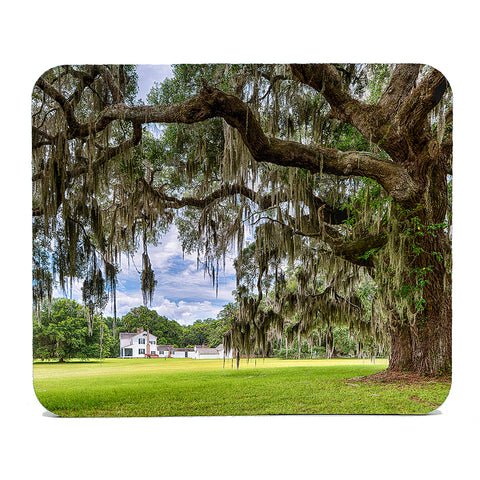 Hofwyl-Broadfield Plantation Gifts