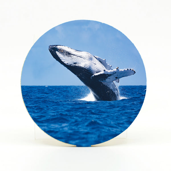 Humpback Whale Gifts