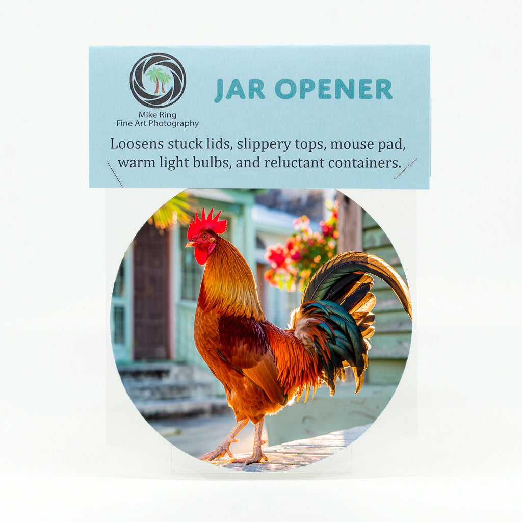 Key West Rooster 1 Gifts