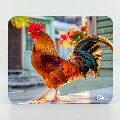 Key West Rooster 1 Gifts