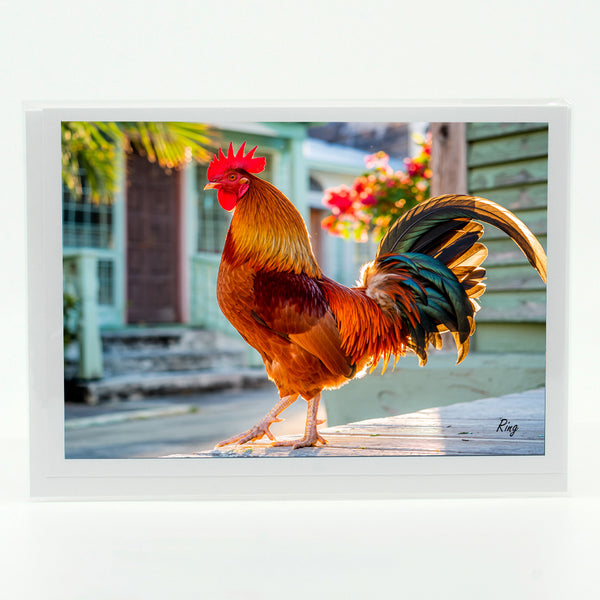 Key West Rooster 1 Gifts