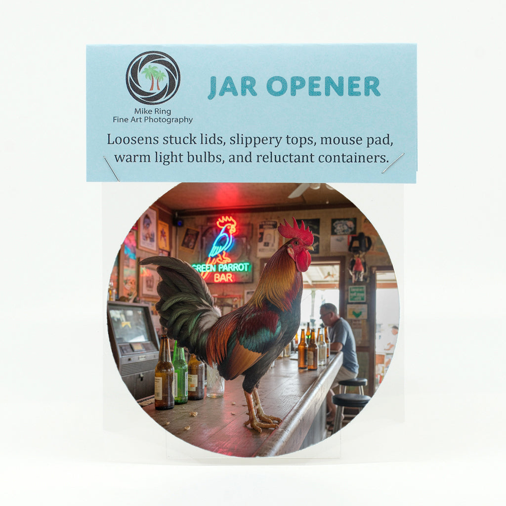 Key West Rooster in Bar 1 Gifts