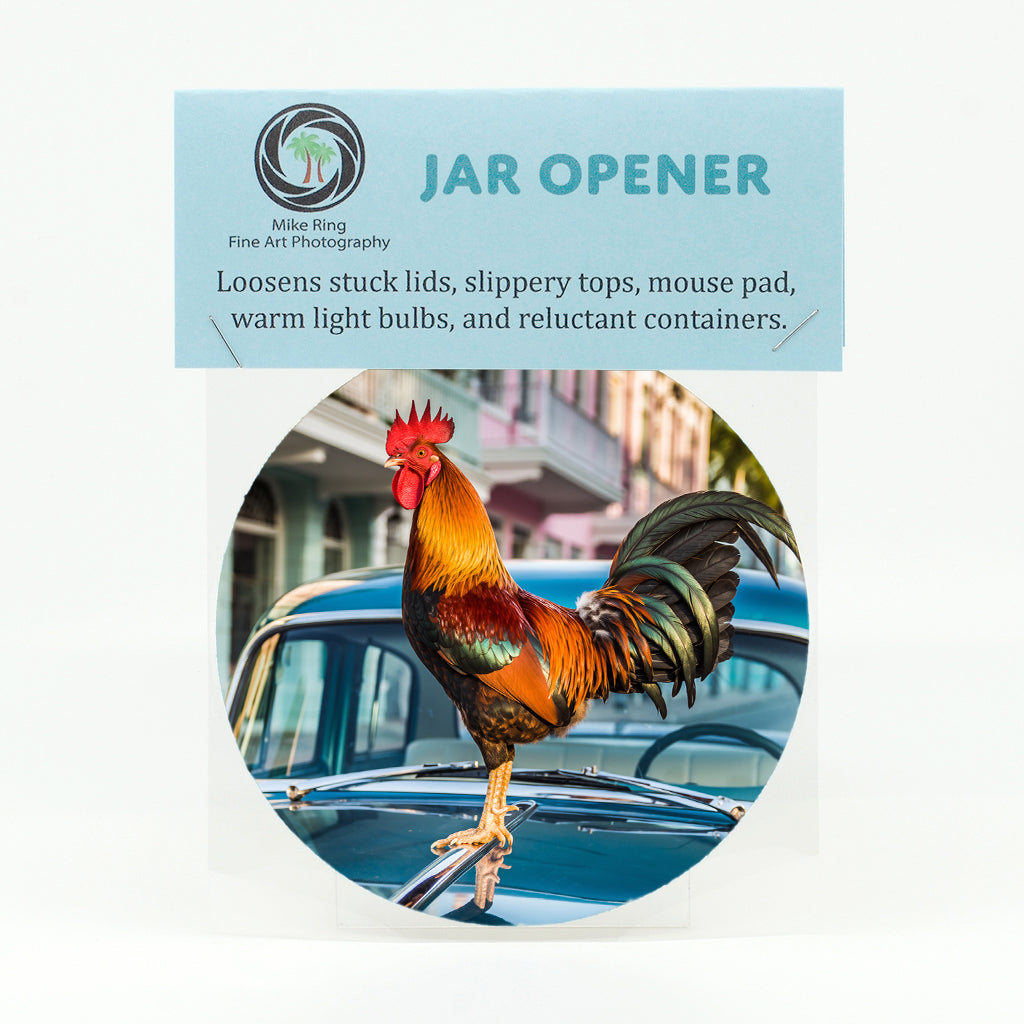 Key West Rooster on Car Gifts