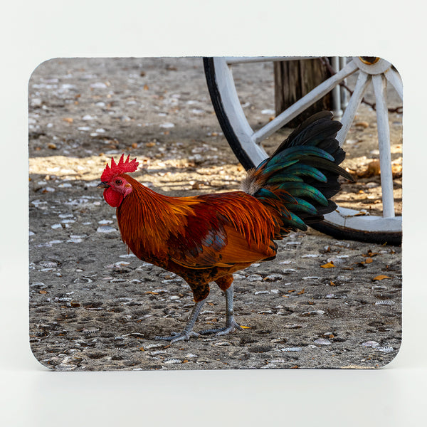 Key West Rooster Gifts