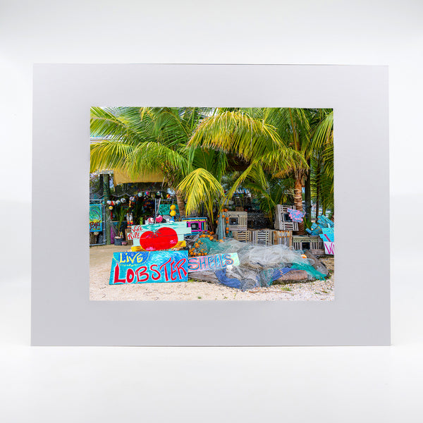 Live Lobster Gifts