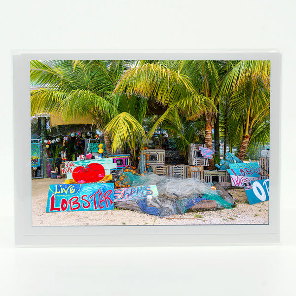 Live Lobster Gifts