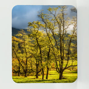 Maggie Valley 1 Gifts