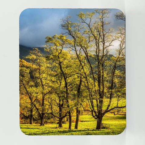 Maggie Valley 1 Gifts