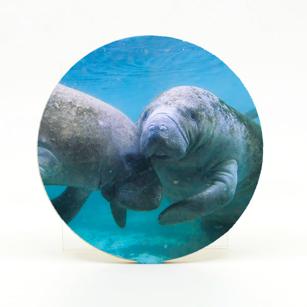 Manatee 3 Gifts