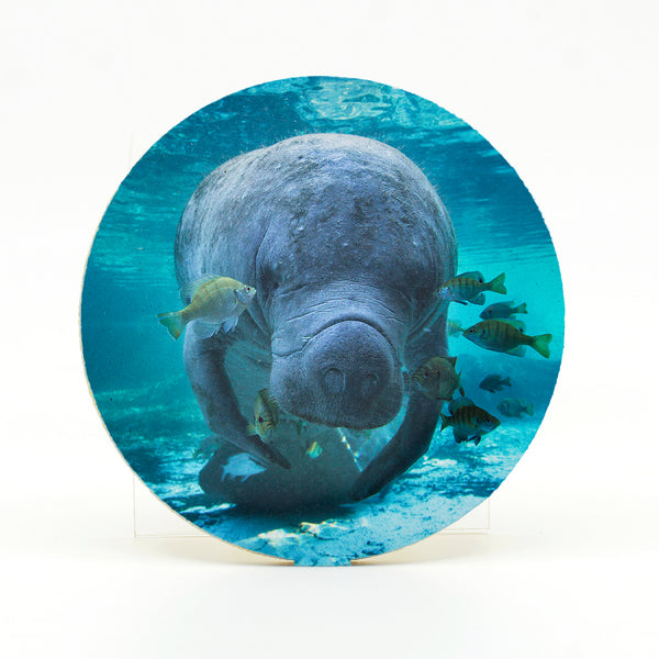 Manatee 4 Gifts