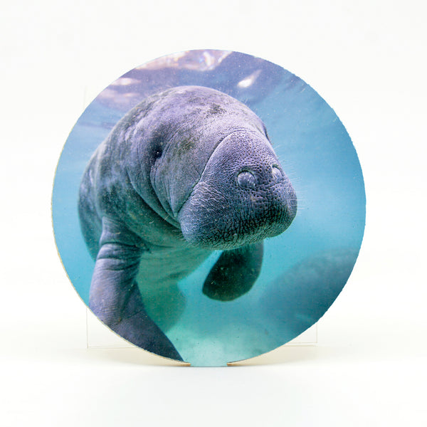 Manatee 1 Gifts