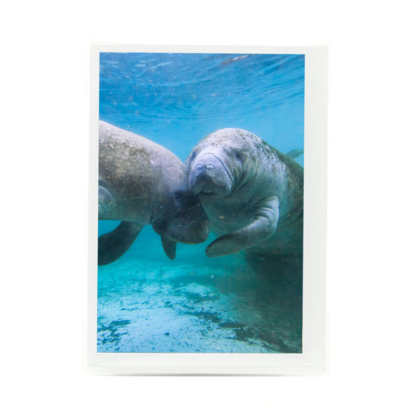 Manatee 3 Gifts