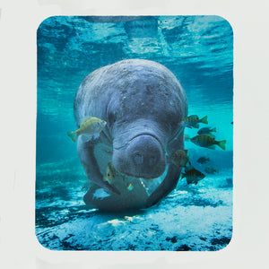 Manatee 4 Gifts