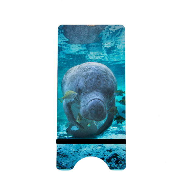 Manatee 4 Gifts