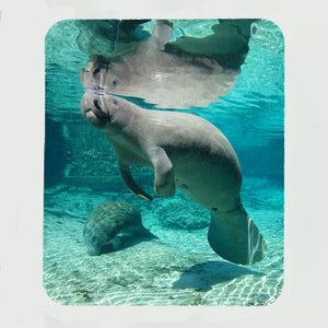 Manatee 5 Gifts