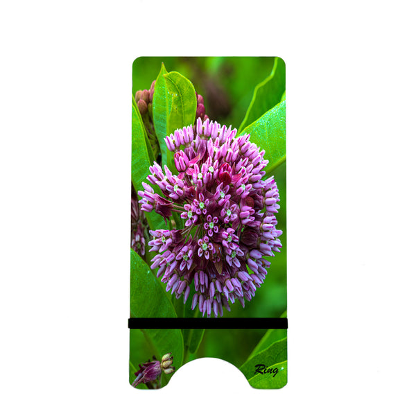 Milkweed Flower Gifts