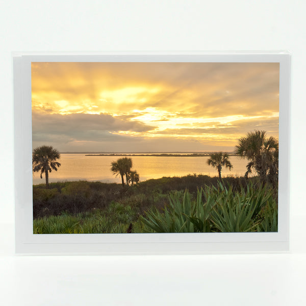 Mosquito Lagoon Sunset Gifts