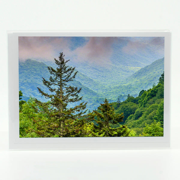 Newfound Gap Gifts