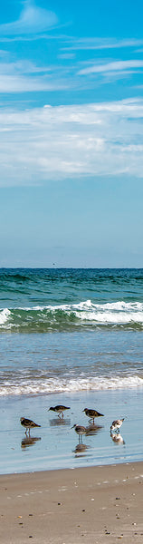 New Smyrna Beach Gifts
