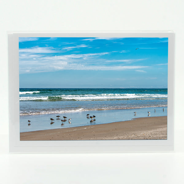 New Smyrna Beach Gifts