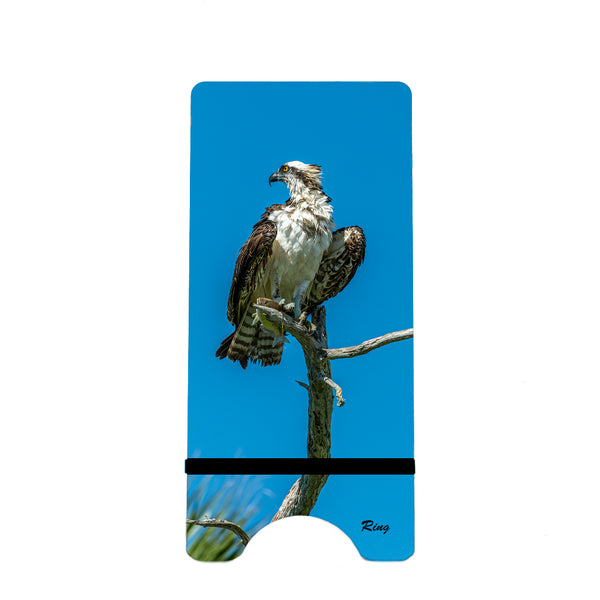 Osprey 2 Gifts