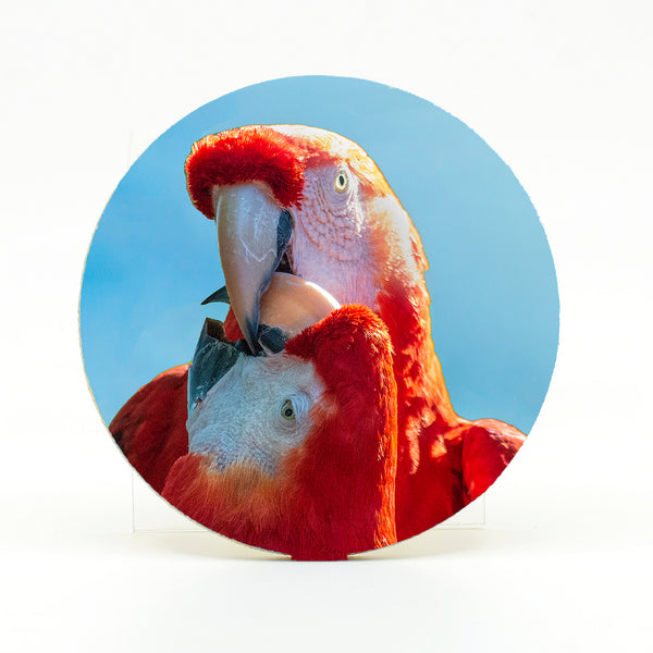 Parrot Lovers Gifts