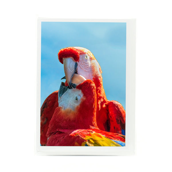 Parrot Lovers Gifts