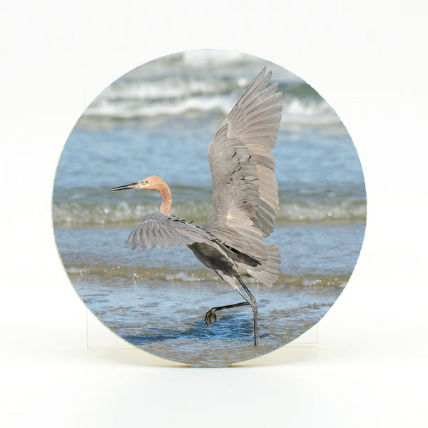 Reddish Egret Gifts